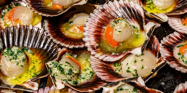 VIEIRAS DEL PACIFICO / PACIFIC SCALLOPS (3 PIEZAS / 3 PIECES) Proximamente