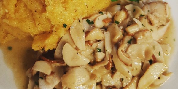 Funghi porcini trifolati di Aleccio con polenta taragna