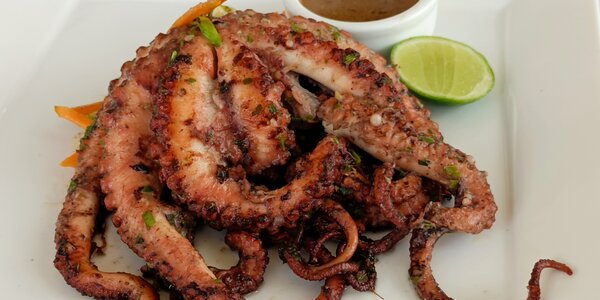 Octopus Grilled