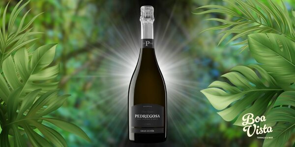 B. Pedregosa Gran Cuvée 