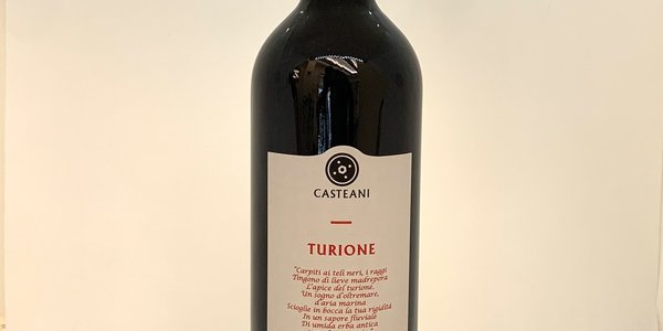 Turione