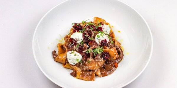 fresh pasta with venison stew, 
