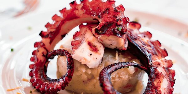 Tentacolo di polpo ai ferri con tortino di patate