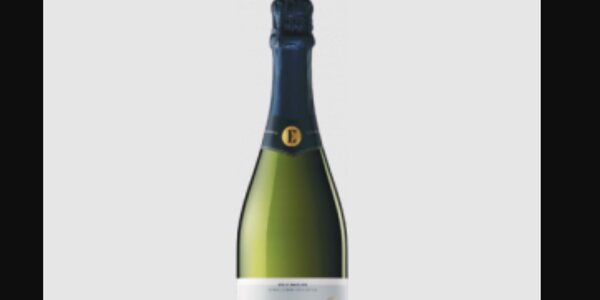 Eudald Massana Noya Eudald Cava Brut Nature Bio Reserva