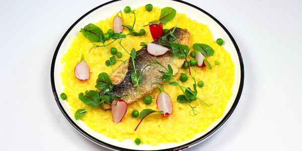 grilled sea bass with creamy saffron risotto, 