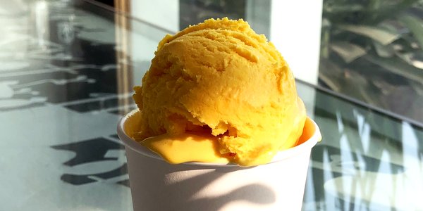 Mango Ice cream small