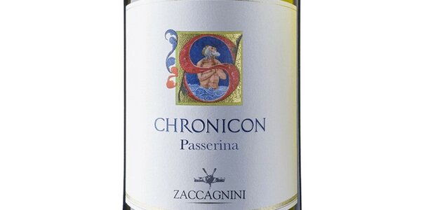 Passerina 'Chronicon' Zaccagnini
